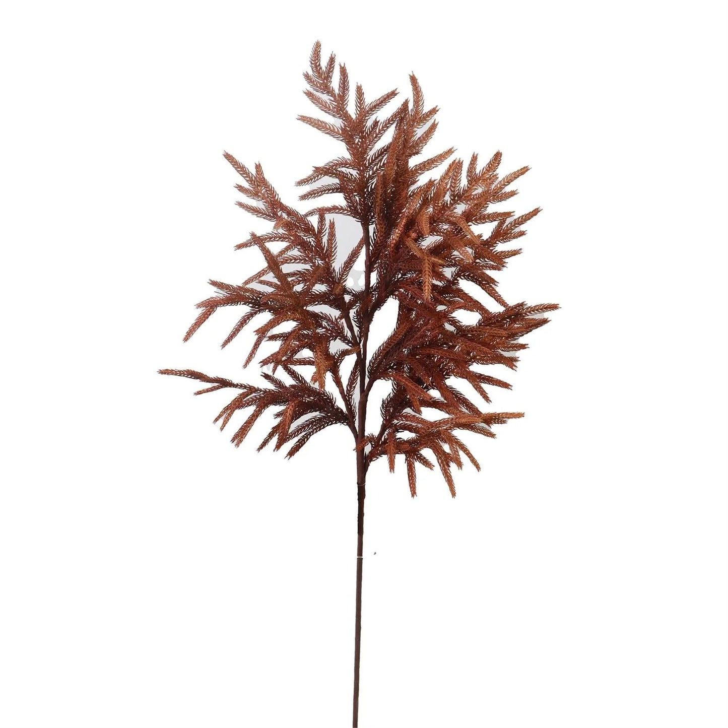 36 Inch Real Touch Rust Norfolk Pine Stem