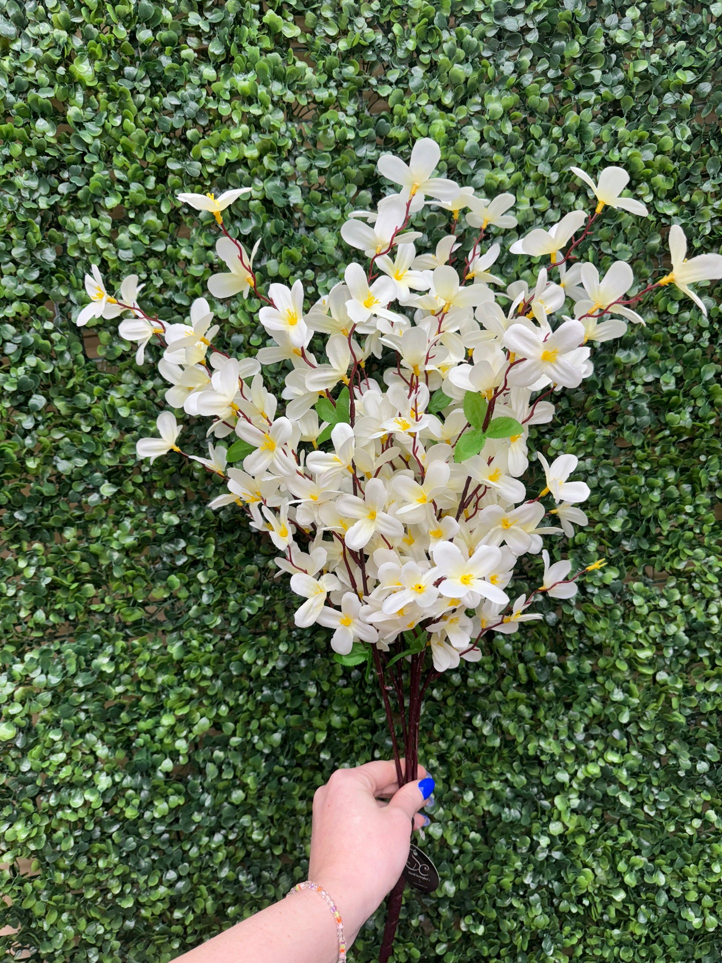24 Inch Cream Tweedia Bush