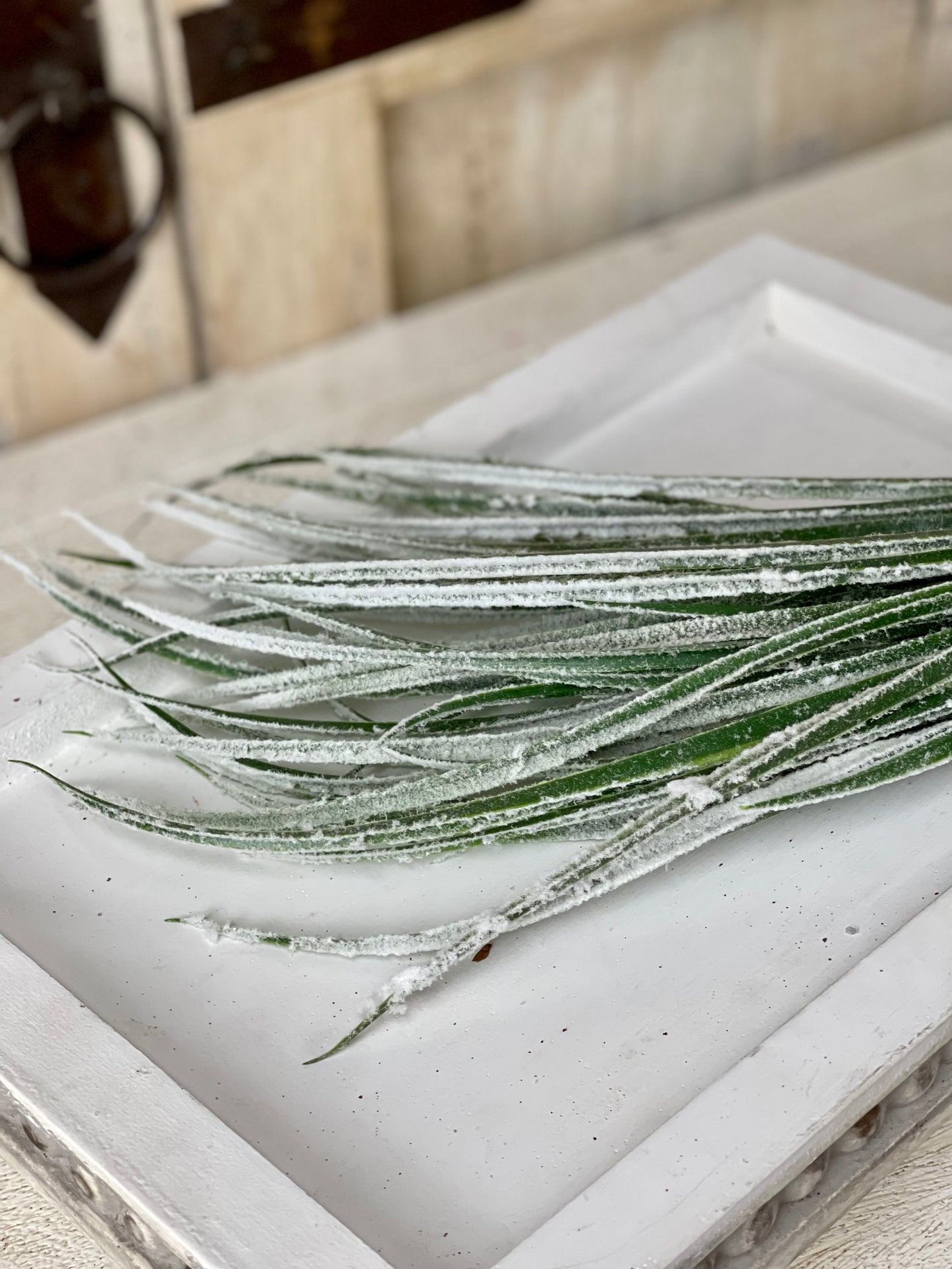 Snow Covered Grass Bush