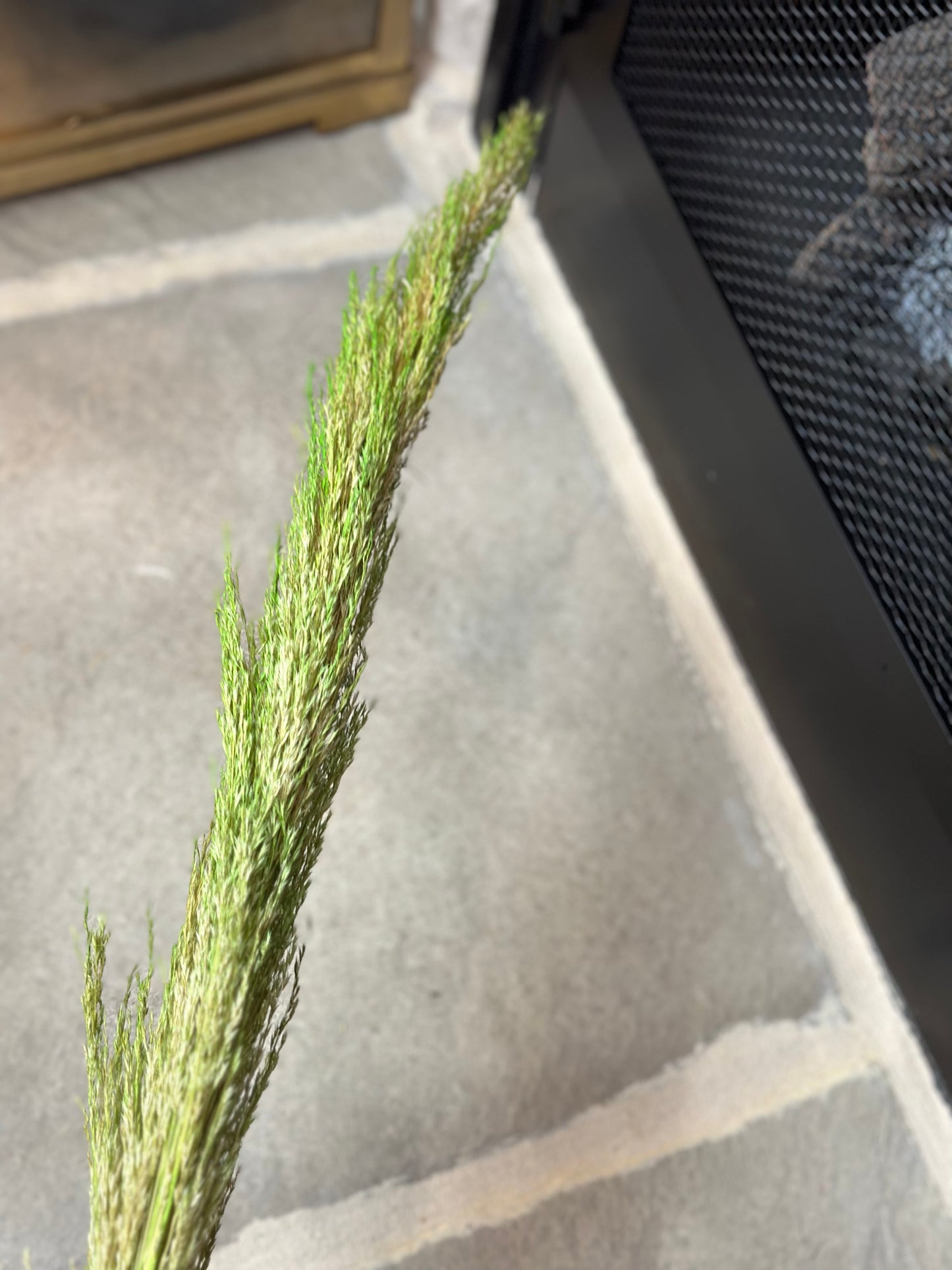 43 Inch Green Pampas Branch