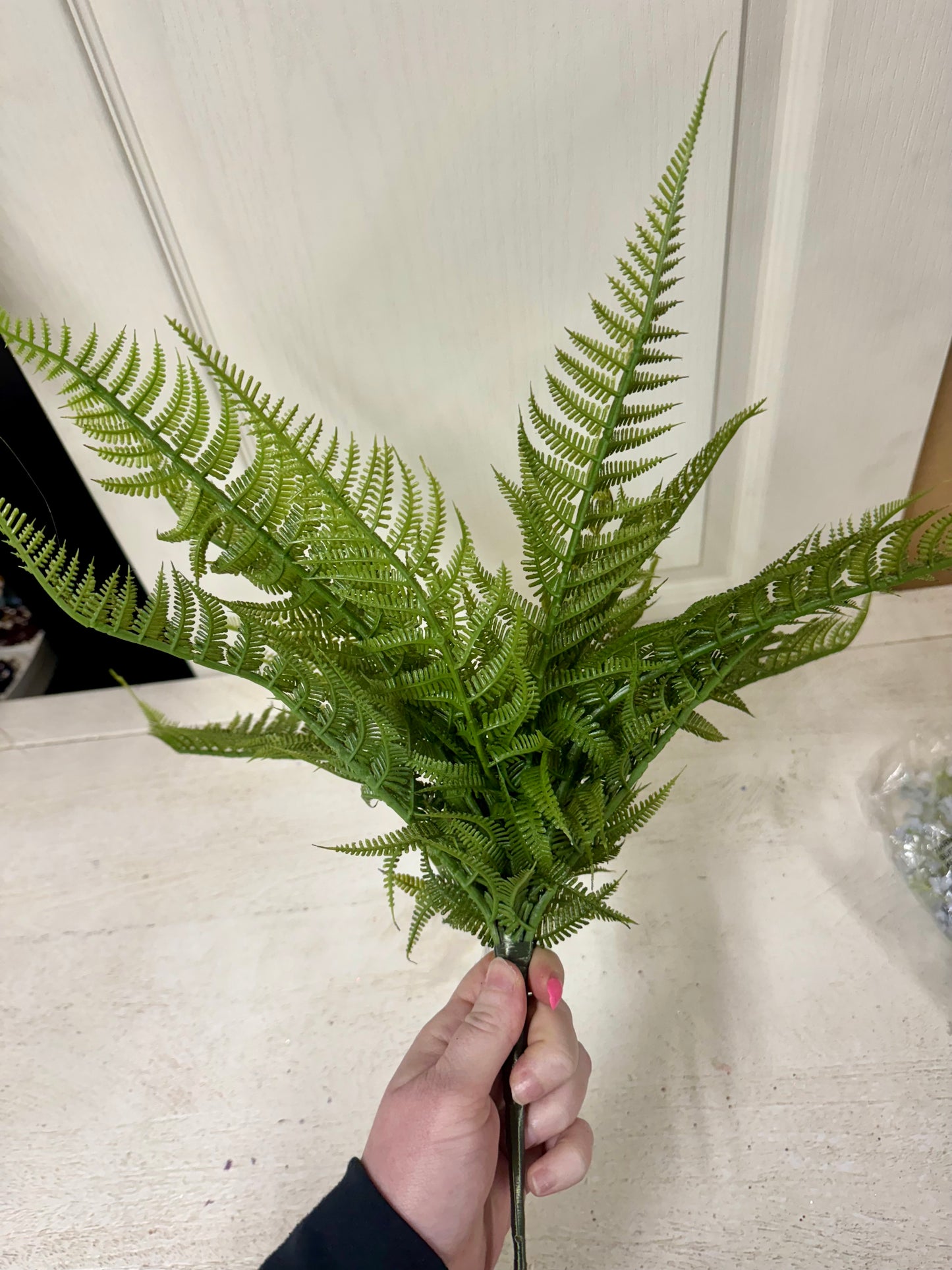 18 Inch Mountain Fern Bush