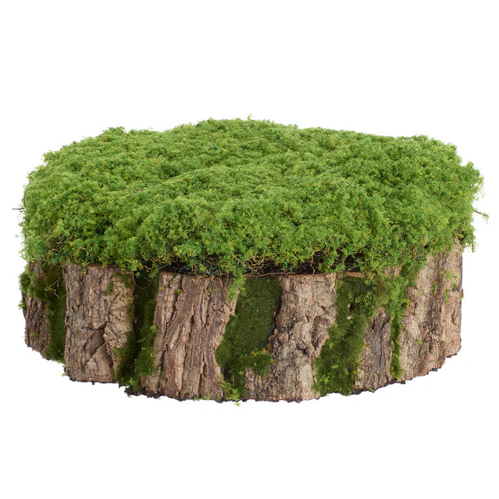 13 Inch Round Moss Stump