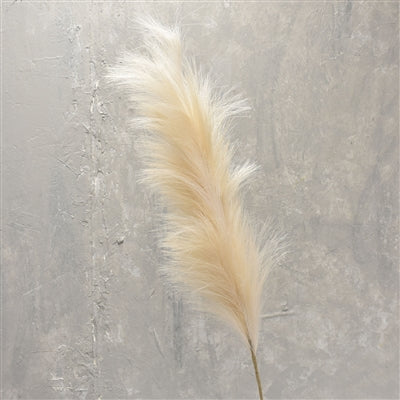 Ivory Pampas Plume Spray