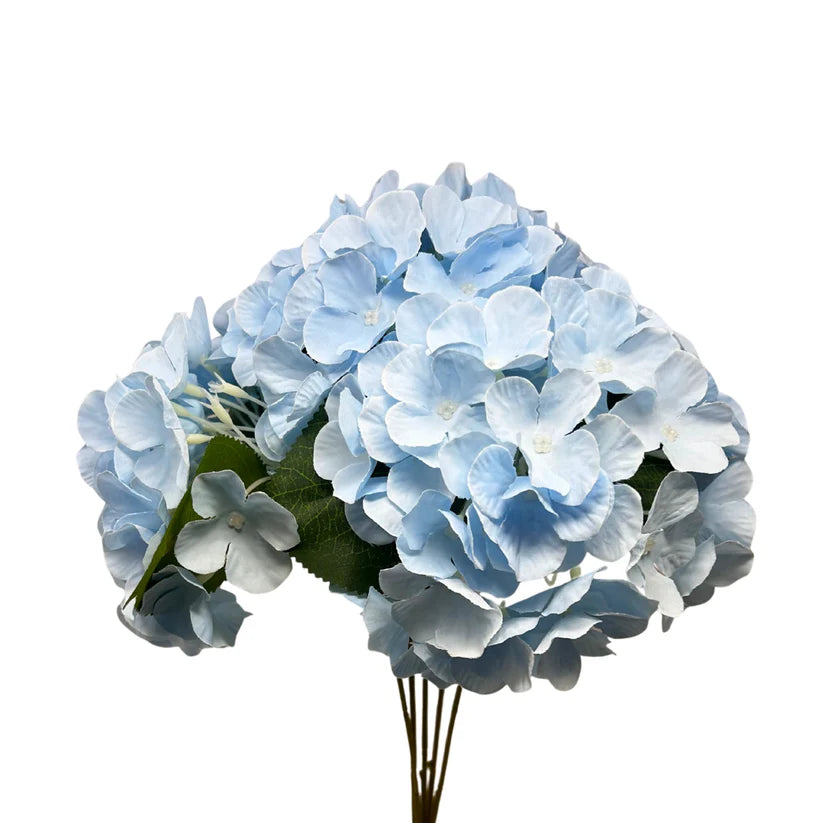 18 Inch Light Blue Southern Hydrangea Bush