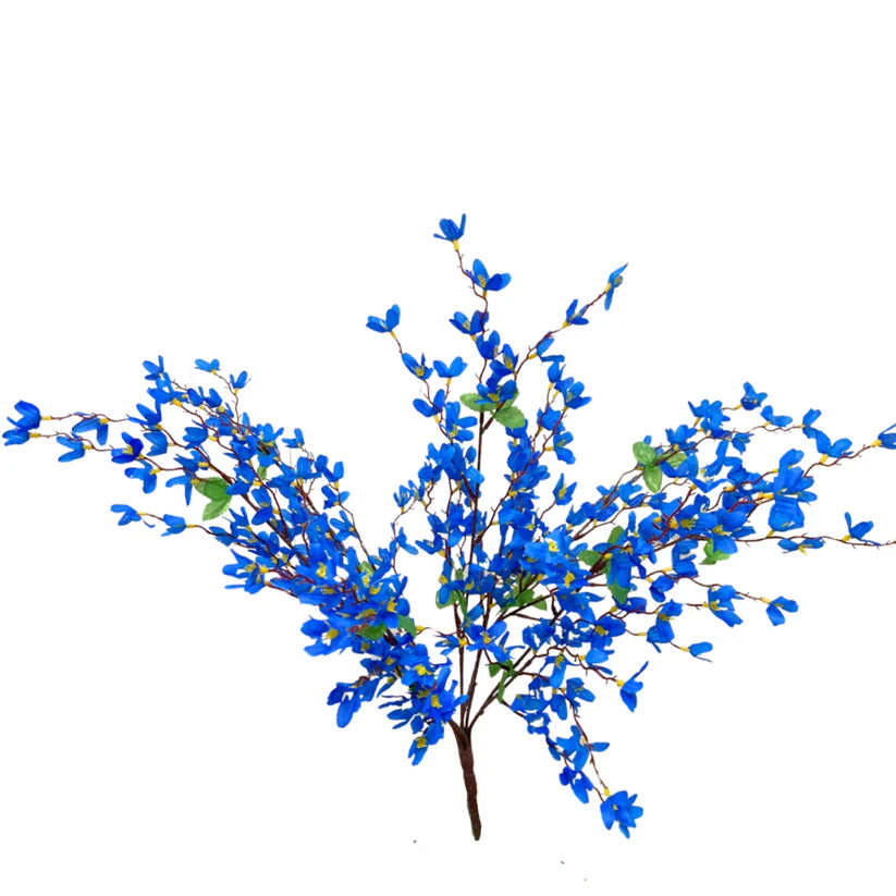 24 Inch Blue Star Blossom Bush