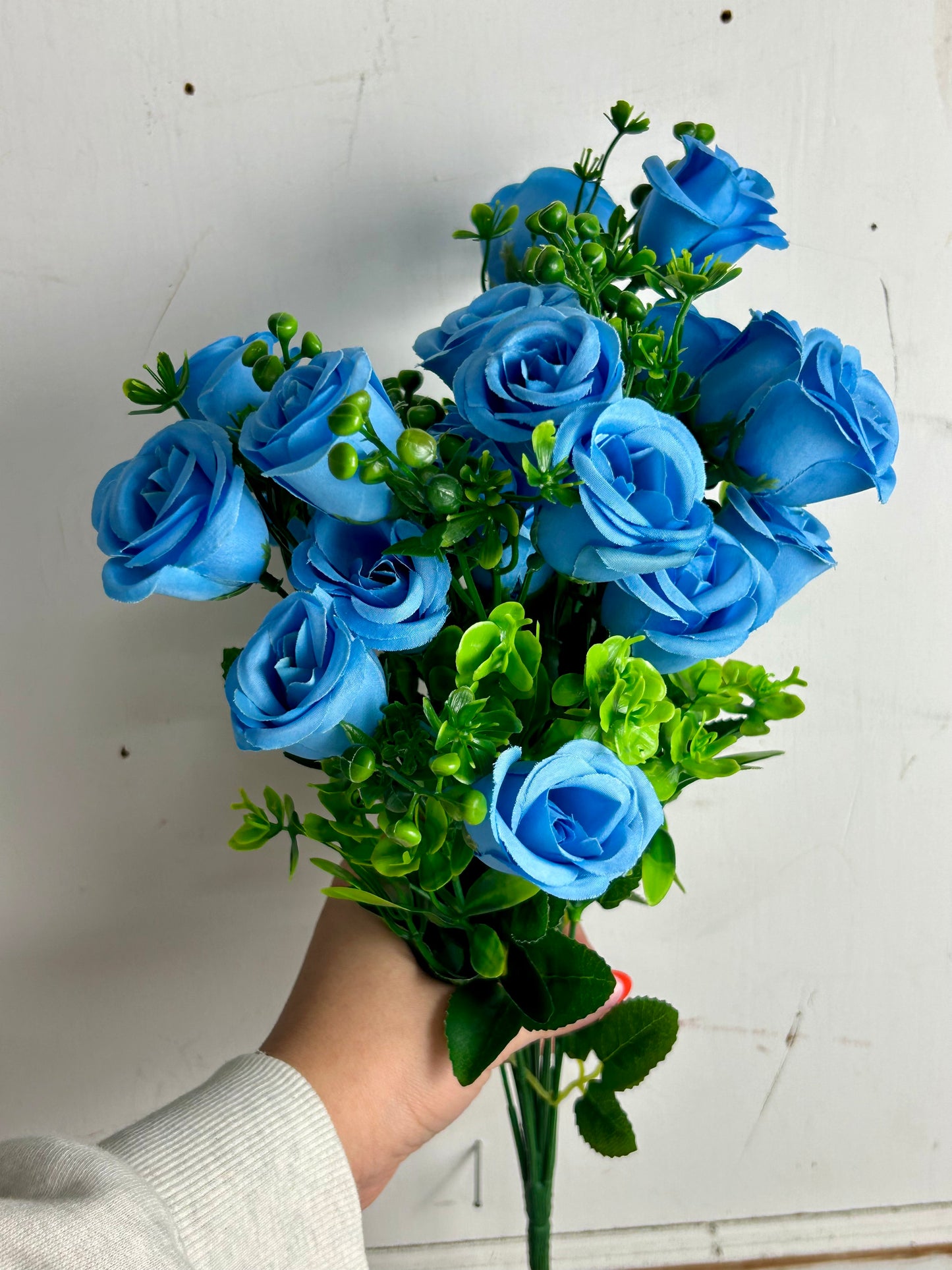 Baby Blue Rose Bud Bush