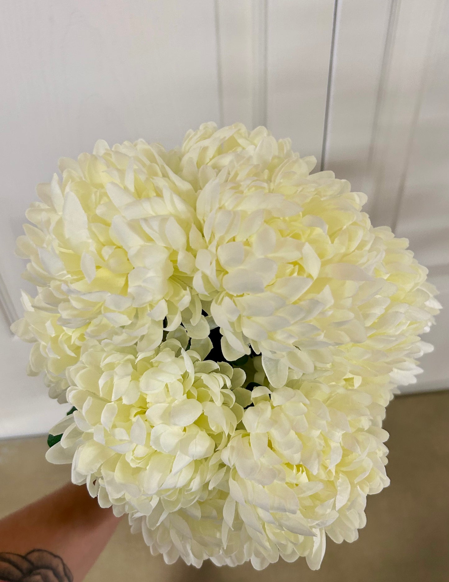 12 Inch Cream Ball Mum Bush