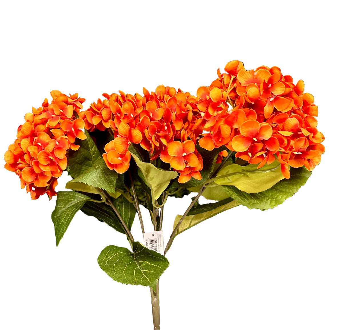 18 Inch Orange Hydrangea Bush