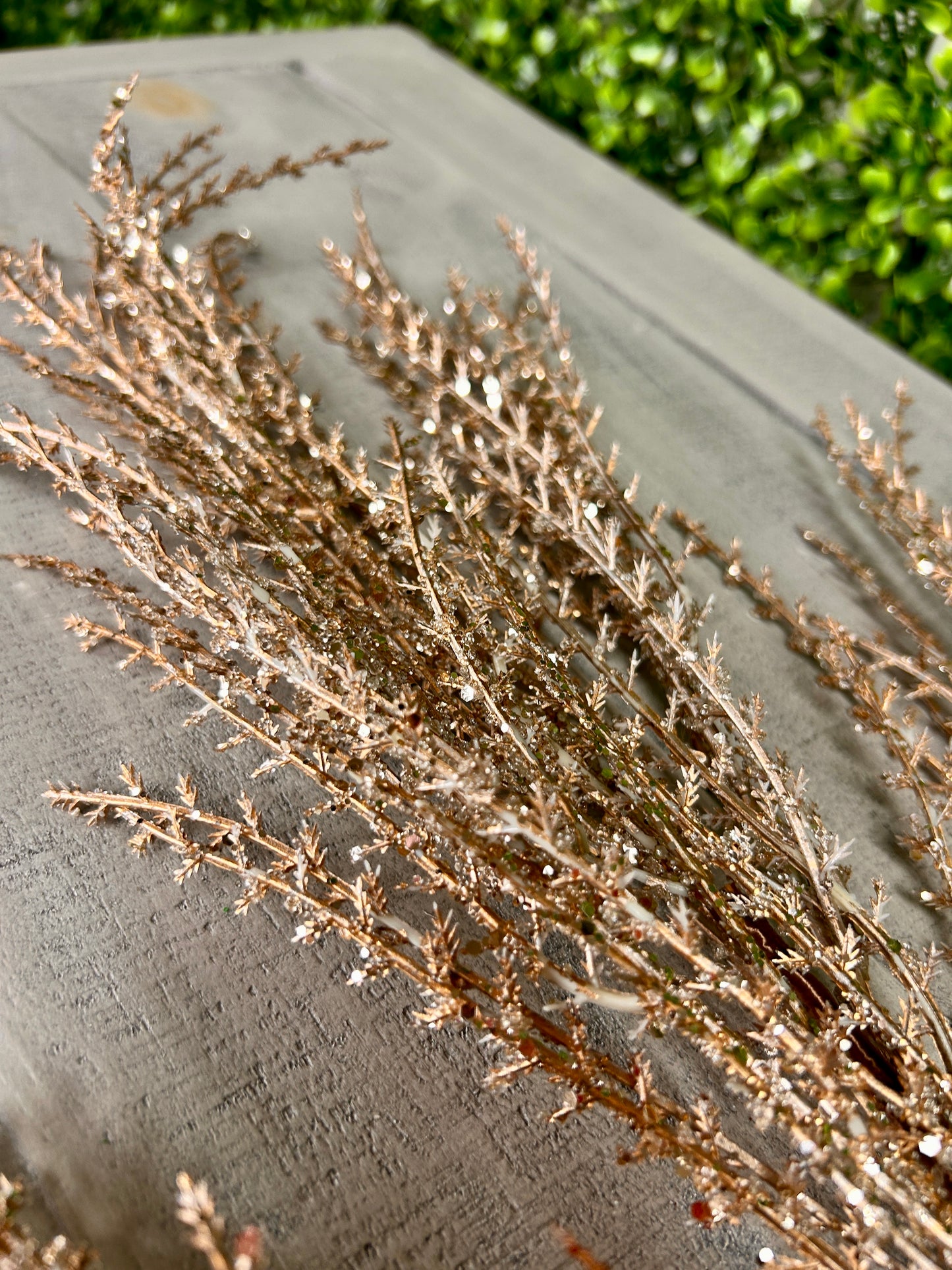 31 Inch Champagne Ice Pampas Spray