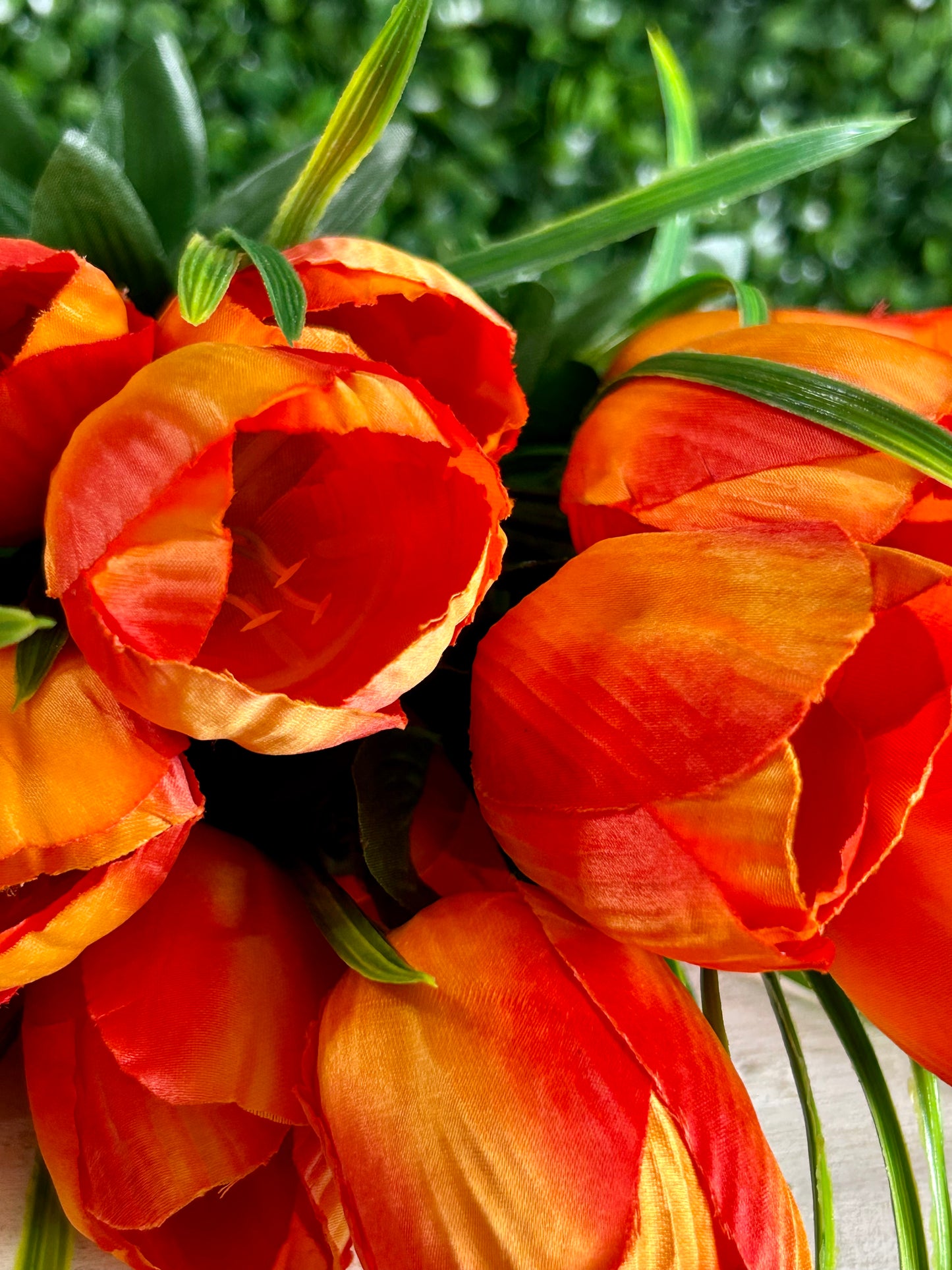 19 Inch Orange Tulip Bush