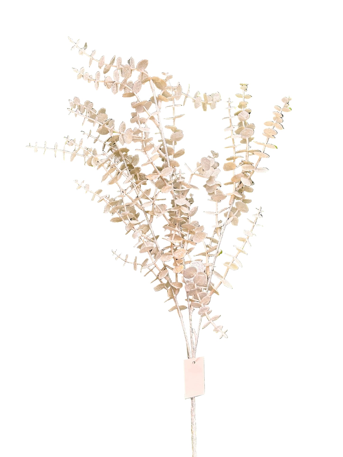 29 Inch White Eucalyptus Bush