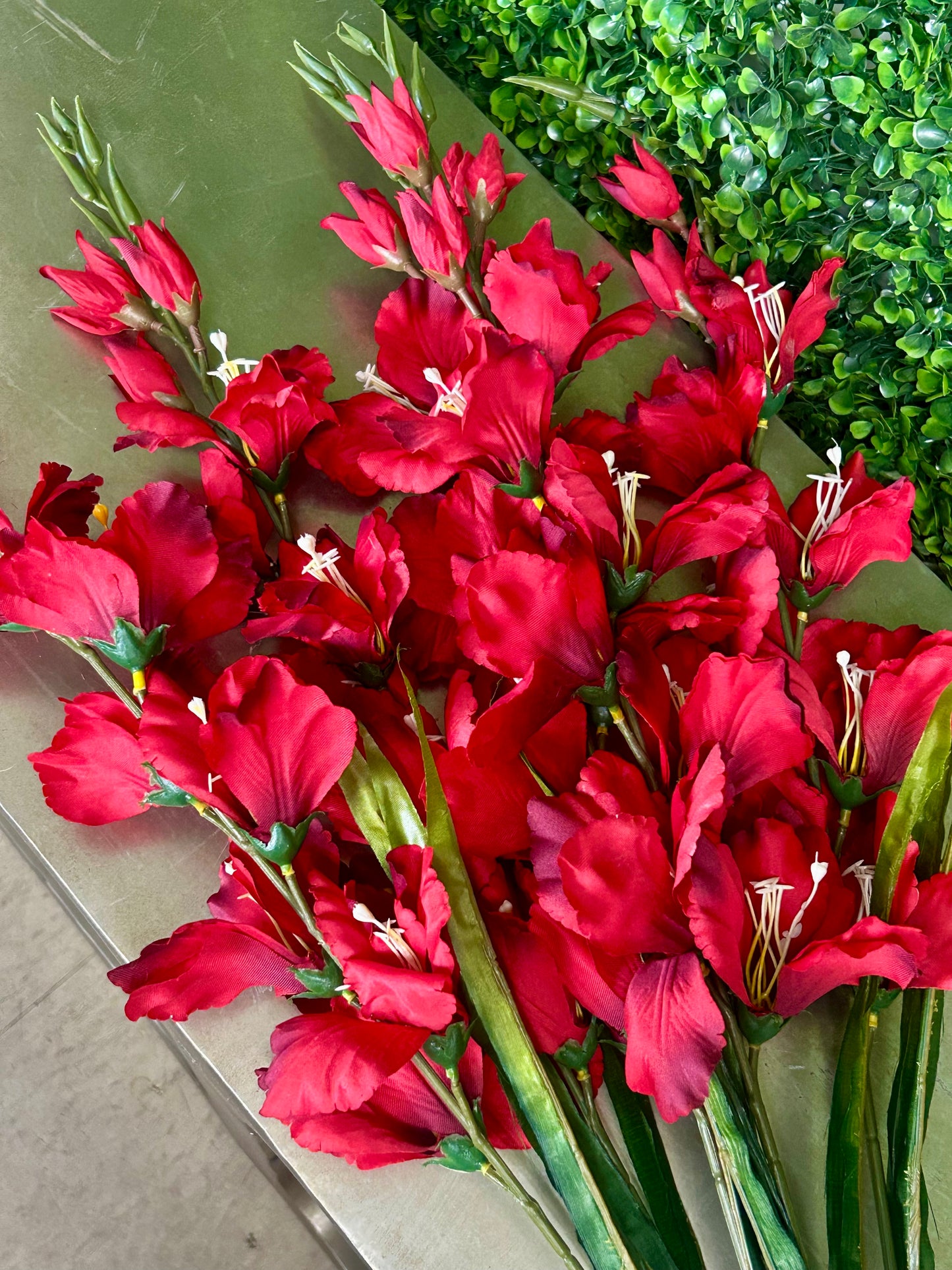 32 Inch Red Gladiolas Bush