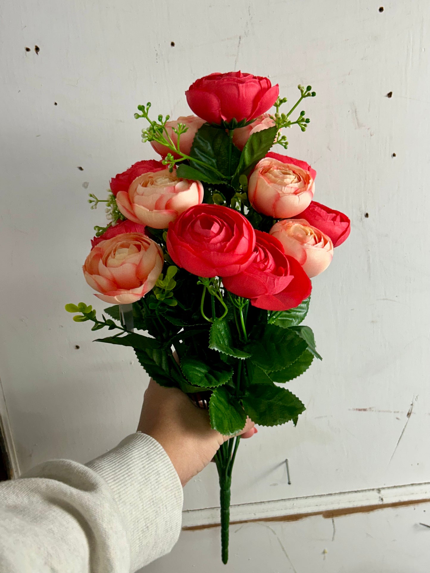 Coral And Pink Ranunculus Bush