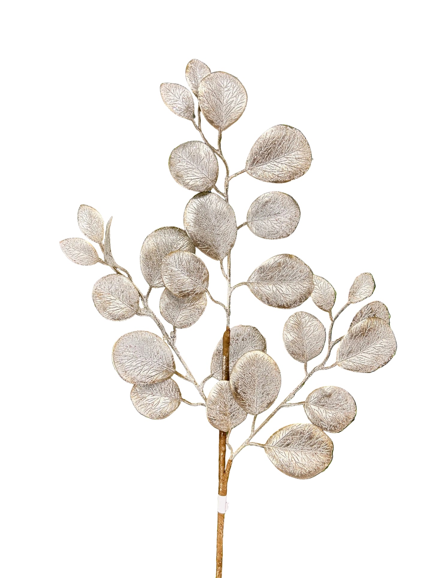24 Inch Platinum Eucalyptus Leaf Spray With Frost