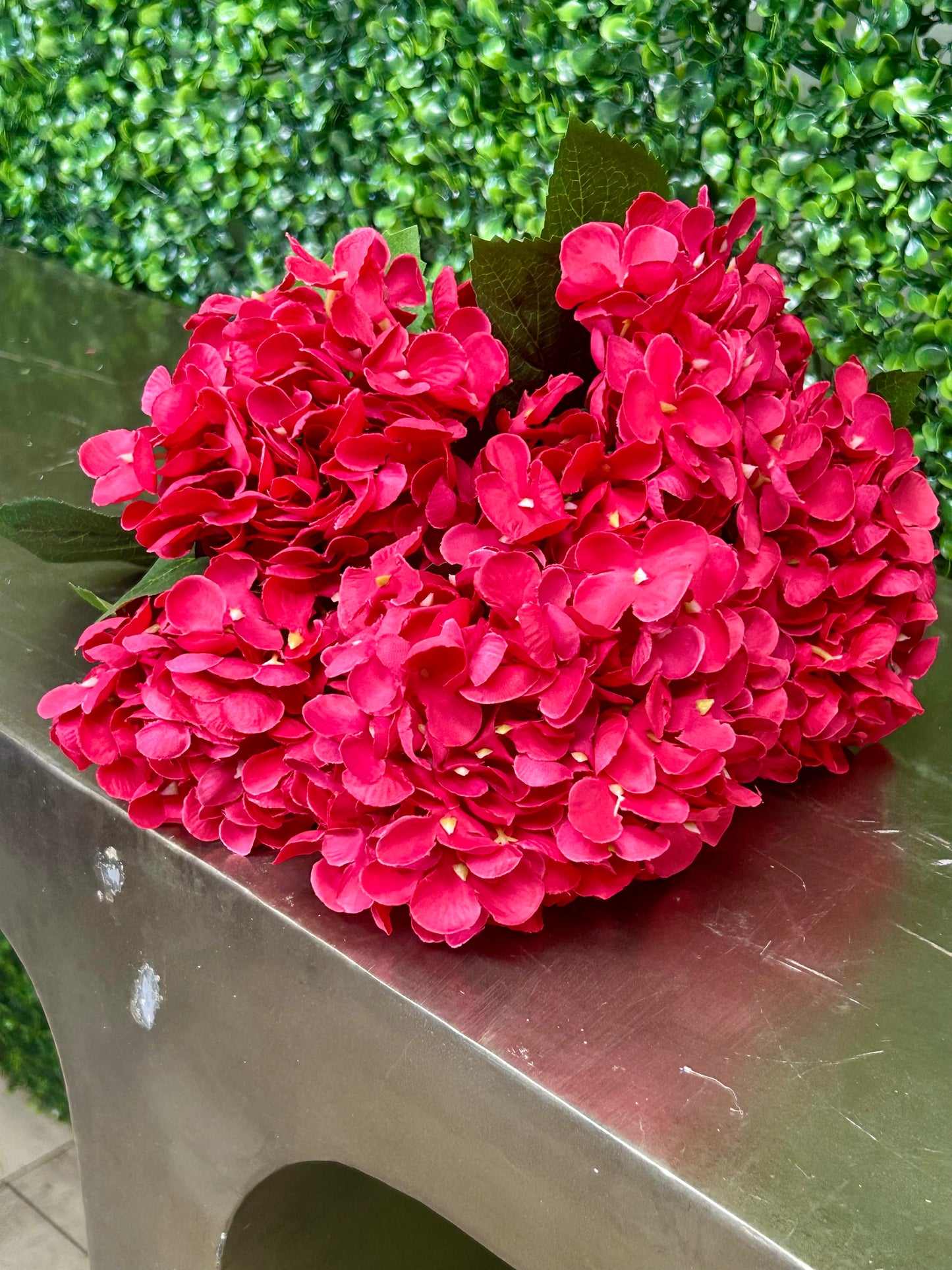 16 Inch Fuchsia Hydrangea Bush
