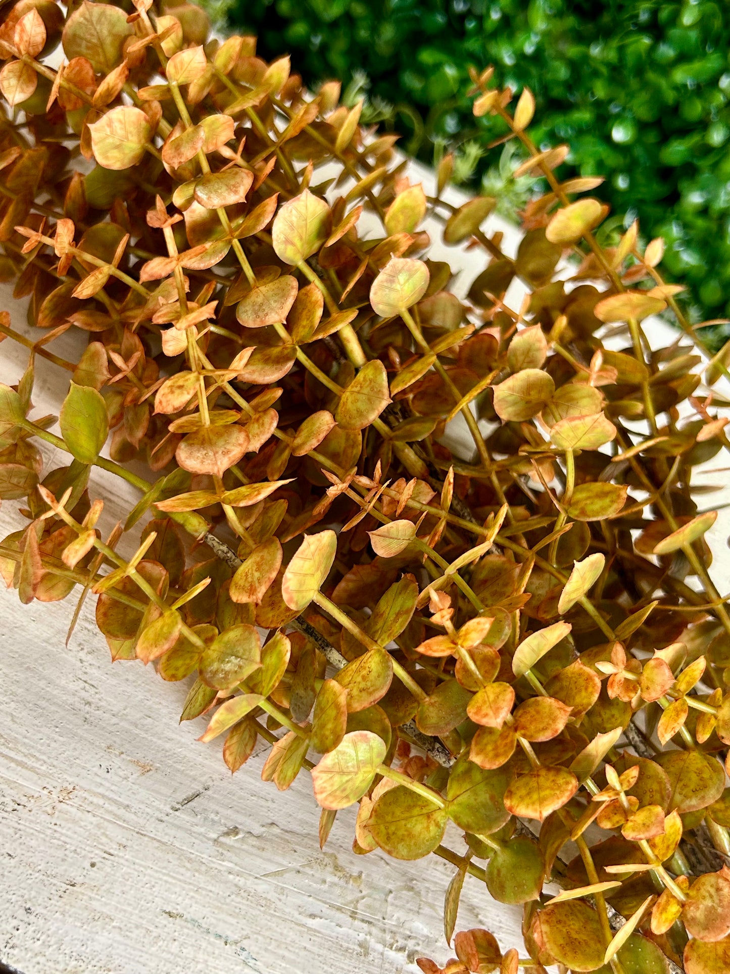 24 Inch Orange And Green Mini Eucalyptus Bush