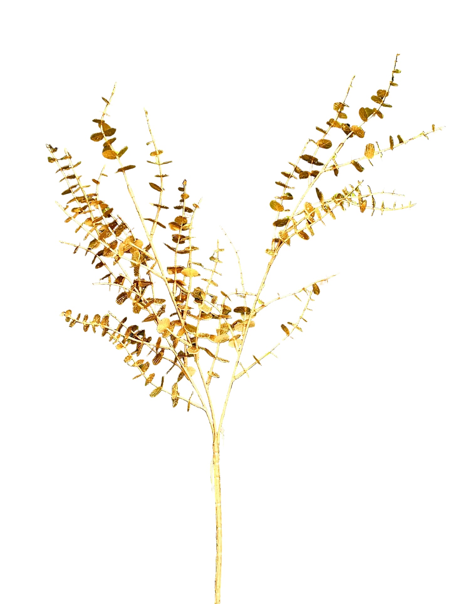 29 Inch Gold Eucalyptus Bush