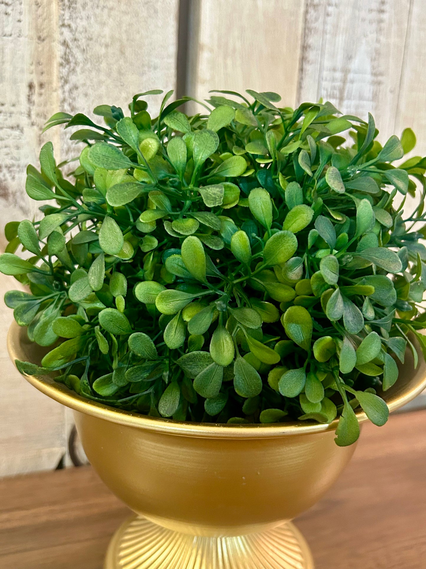 6 Inch Green Boxwood Kissing Ball