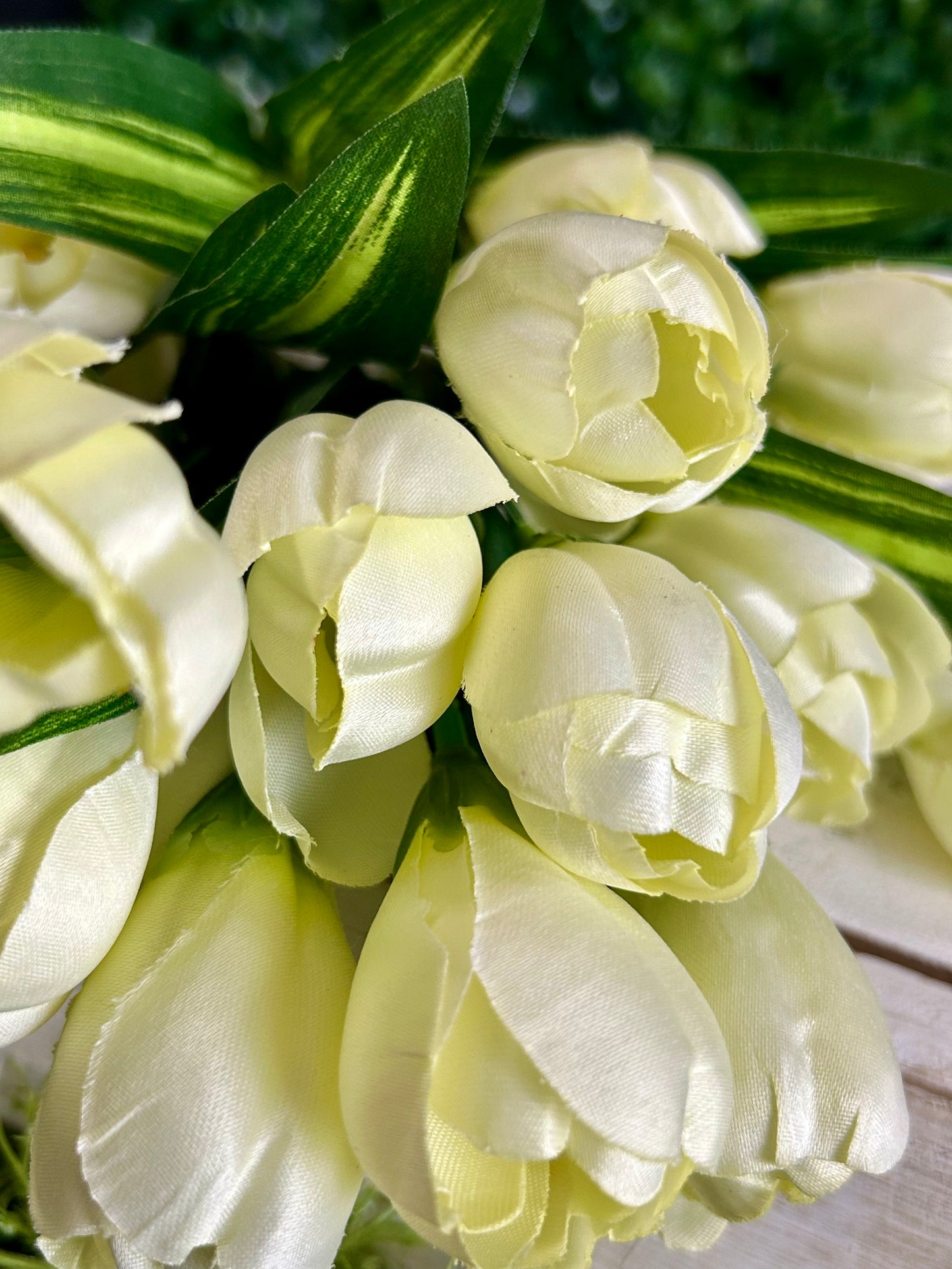 18.5 Inch Cream Crocus Bush