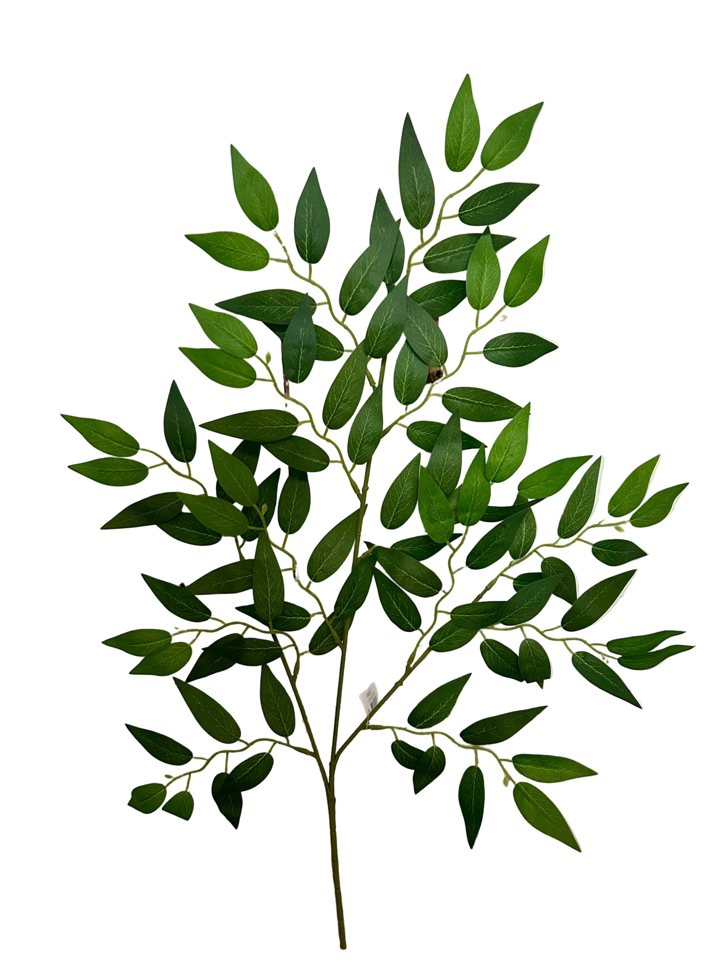 20 Inch Green Wisteria Leaf