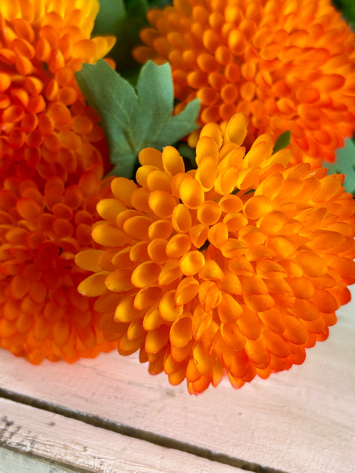 17 Inch Orange Dahlia Bush