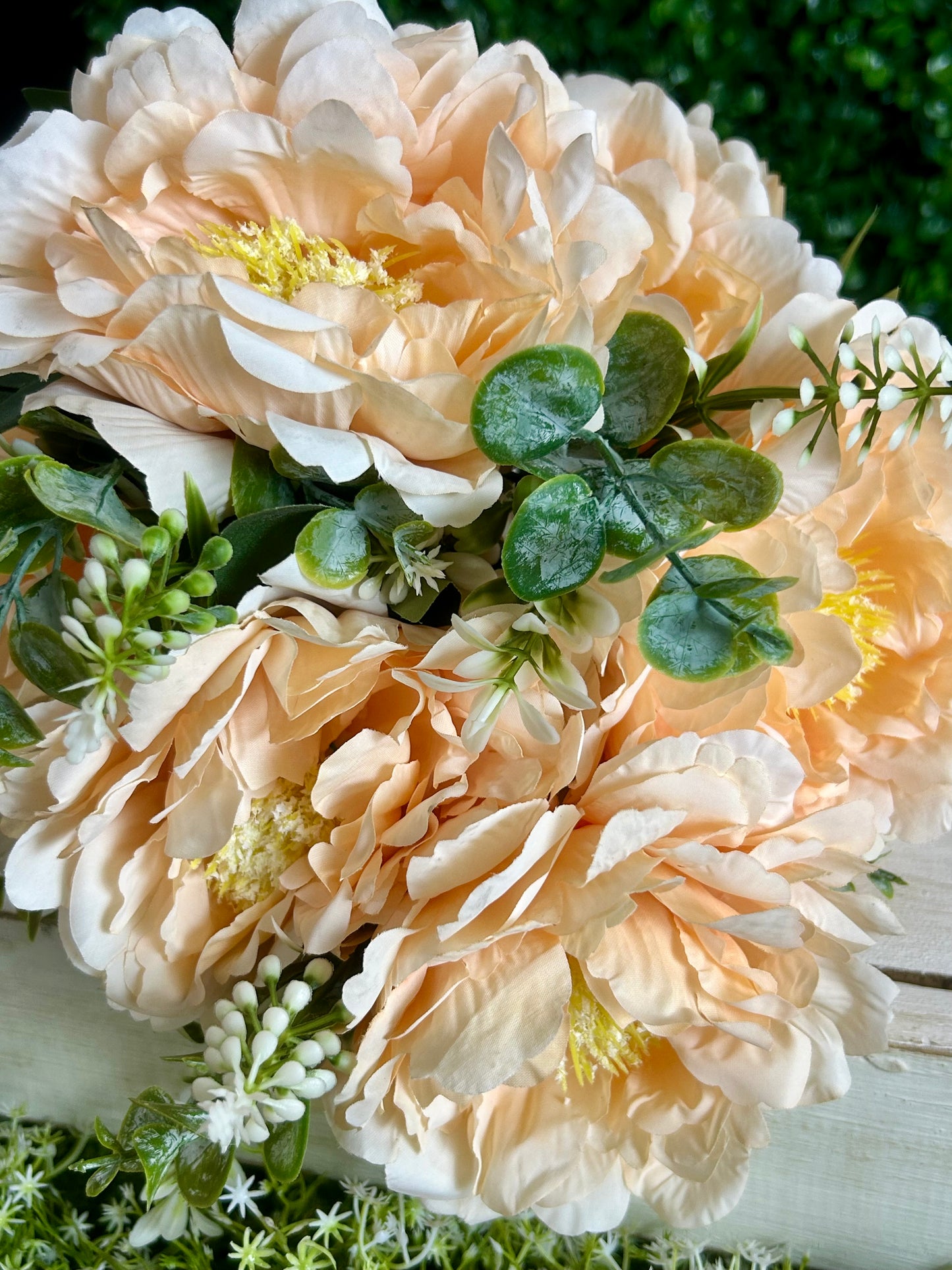 21 Inch Apricot Peony Bush