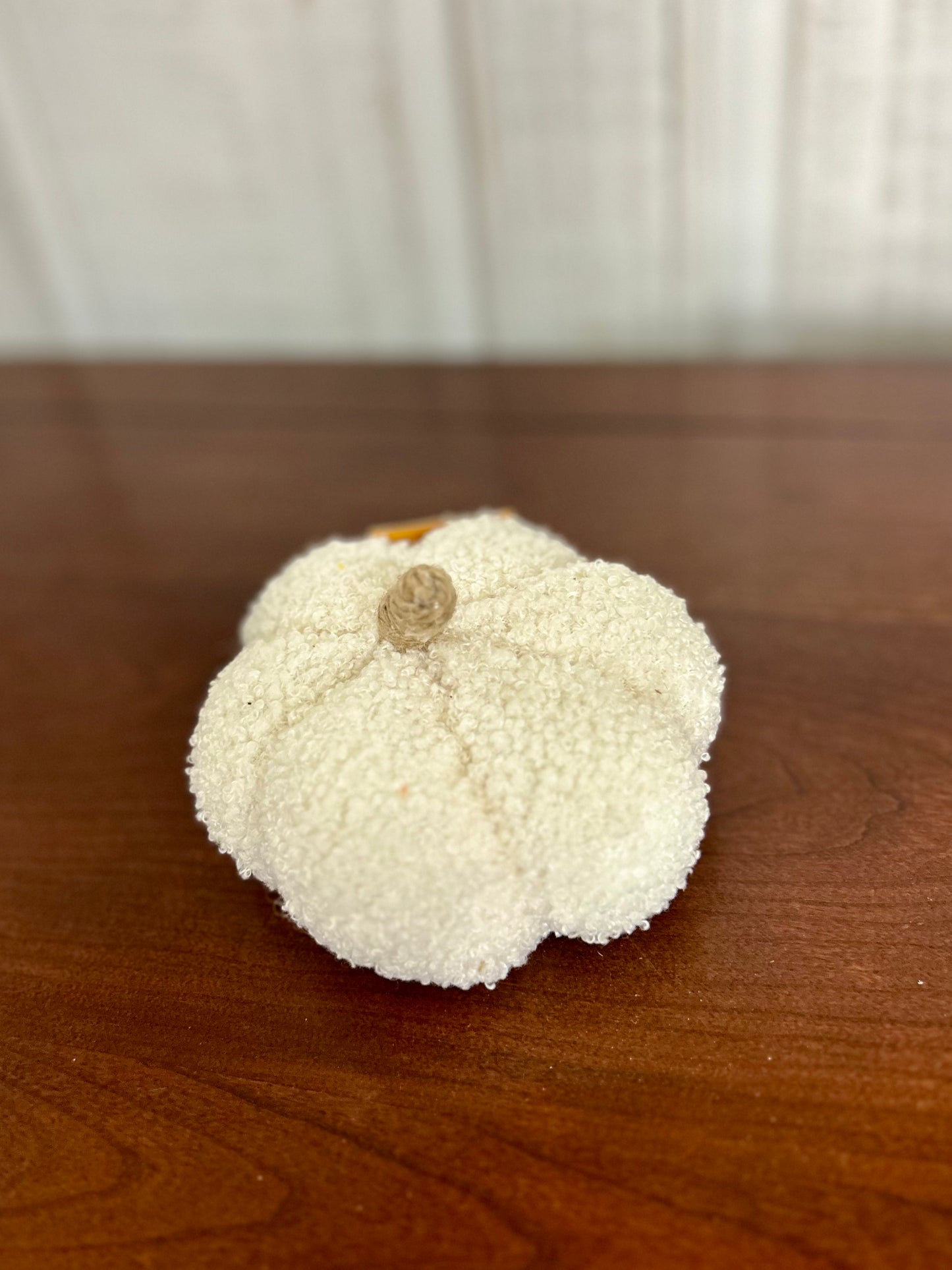Mini Boucle Pumpkin Two Styles