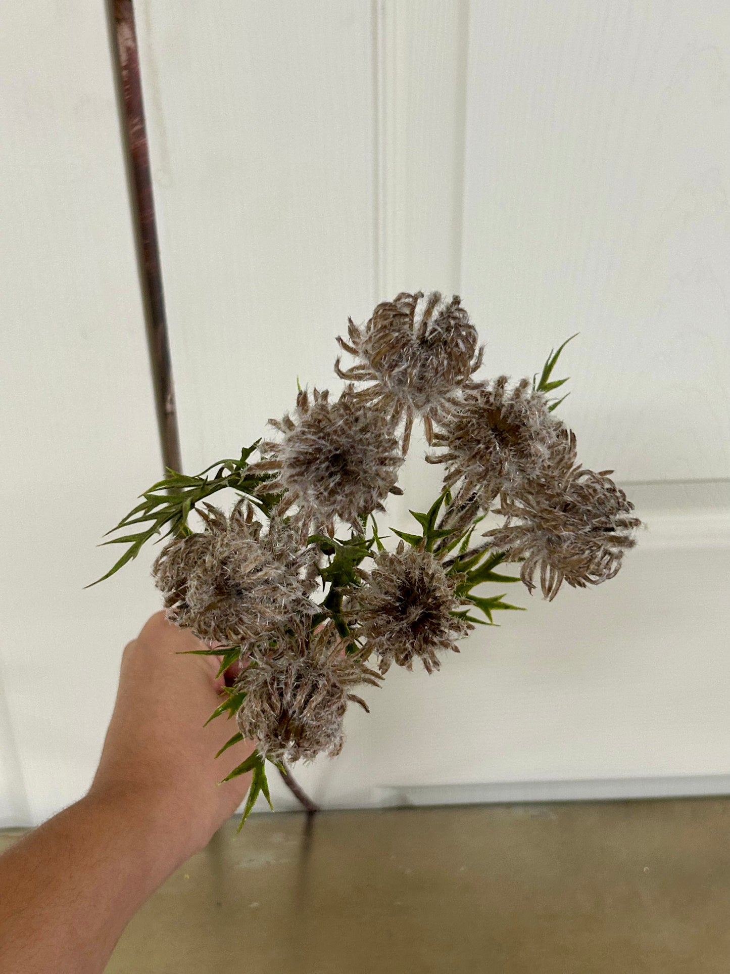 23 Inch Brown Thistle Leaf Spray