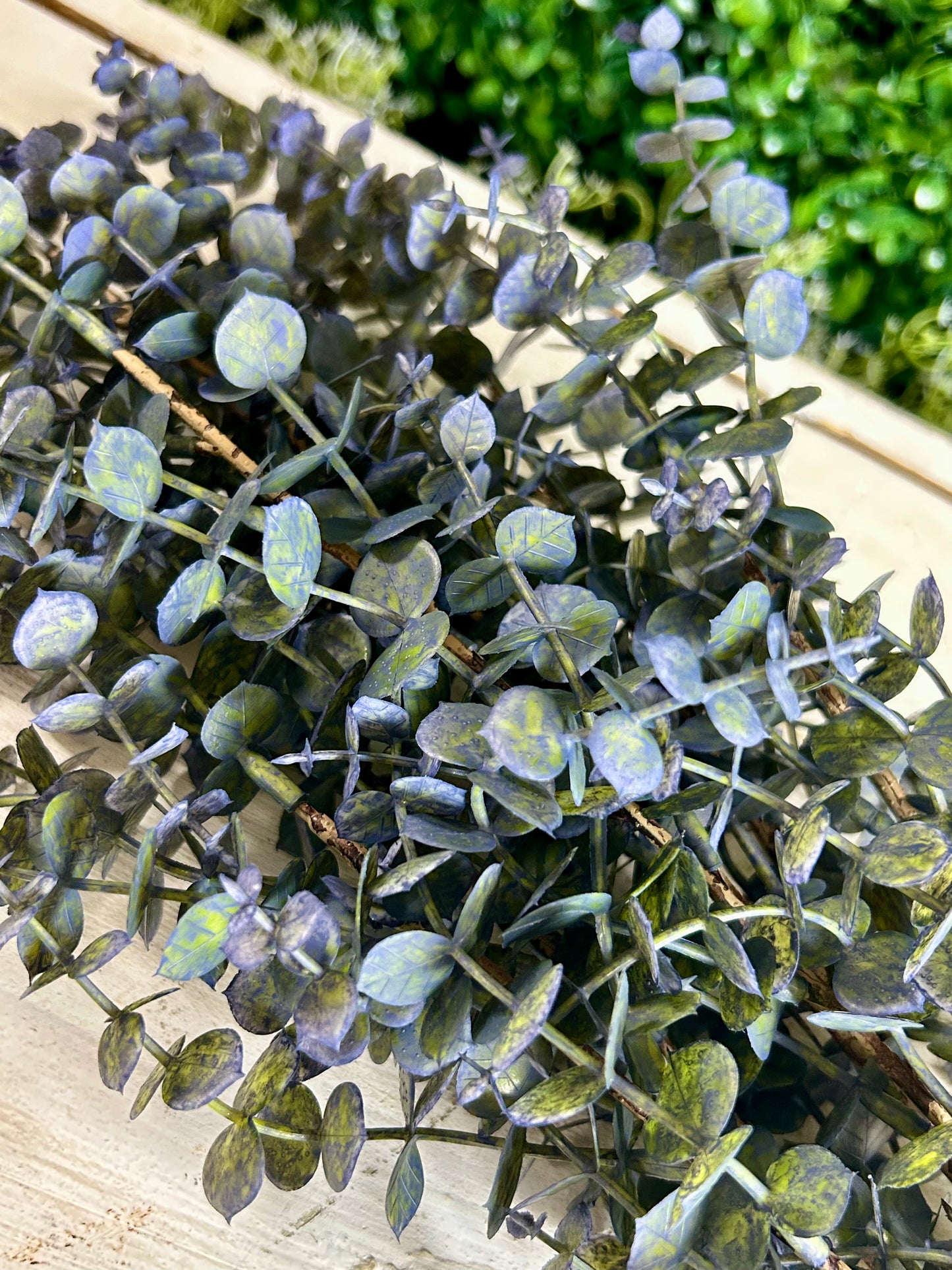 24 Inch Blue Mini Eucalyptus Bush