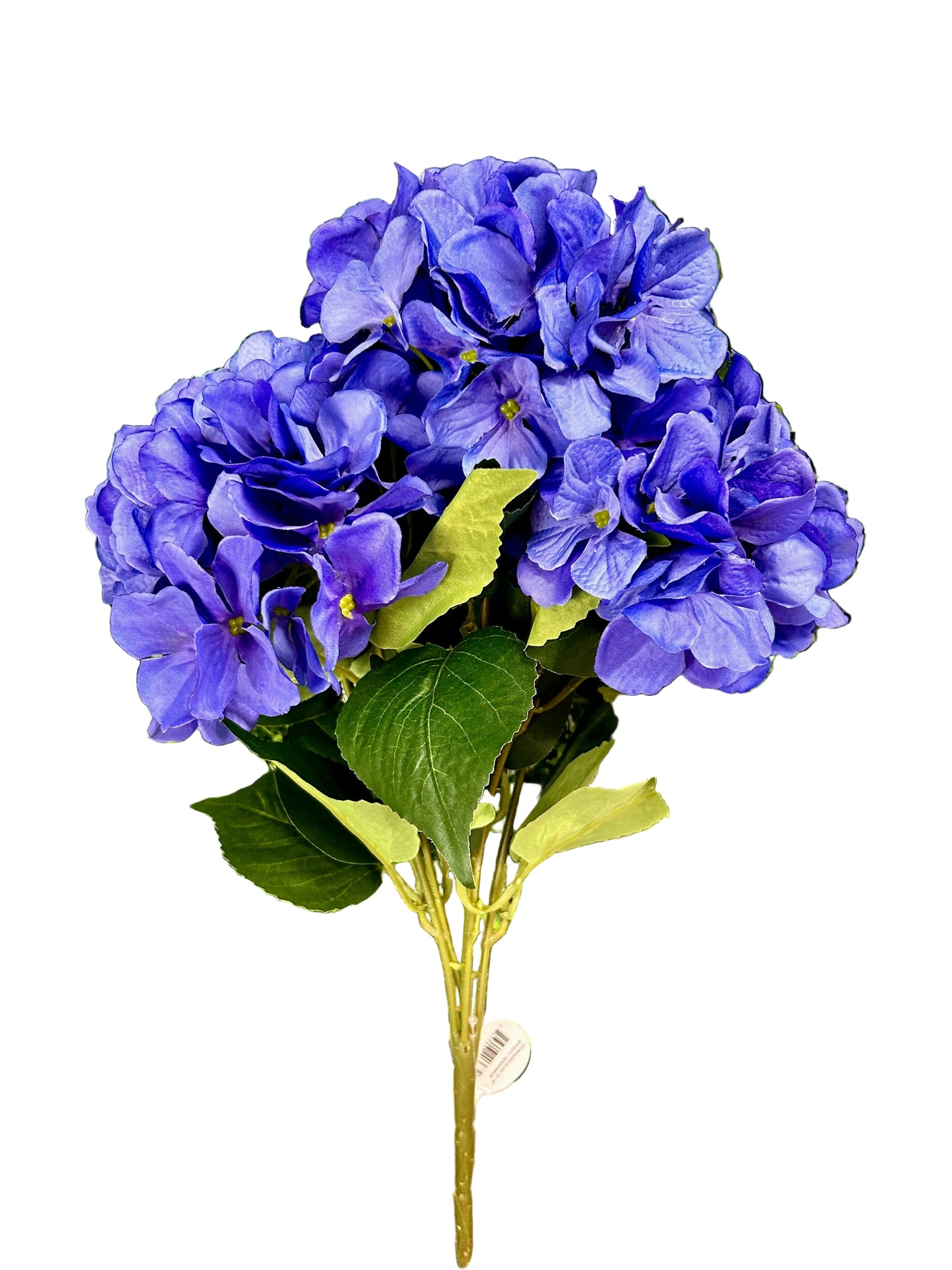 18 Inch Periwinkle Hydrangea Bush