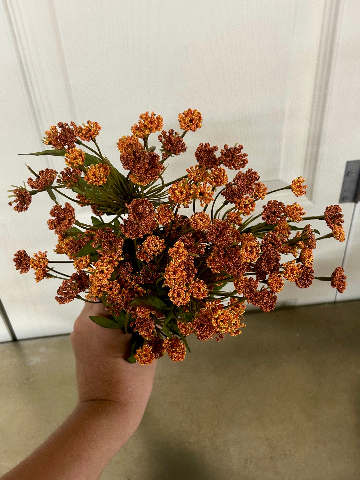 21 Inch Rust Queen Ann Lace Bush