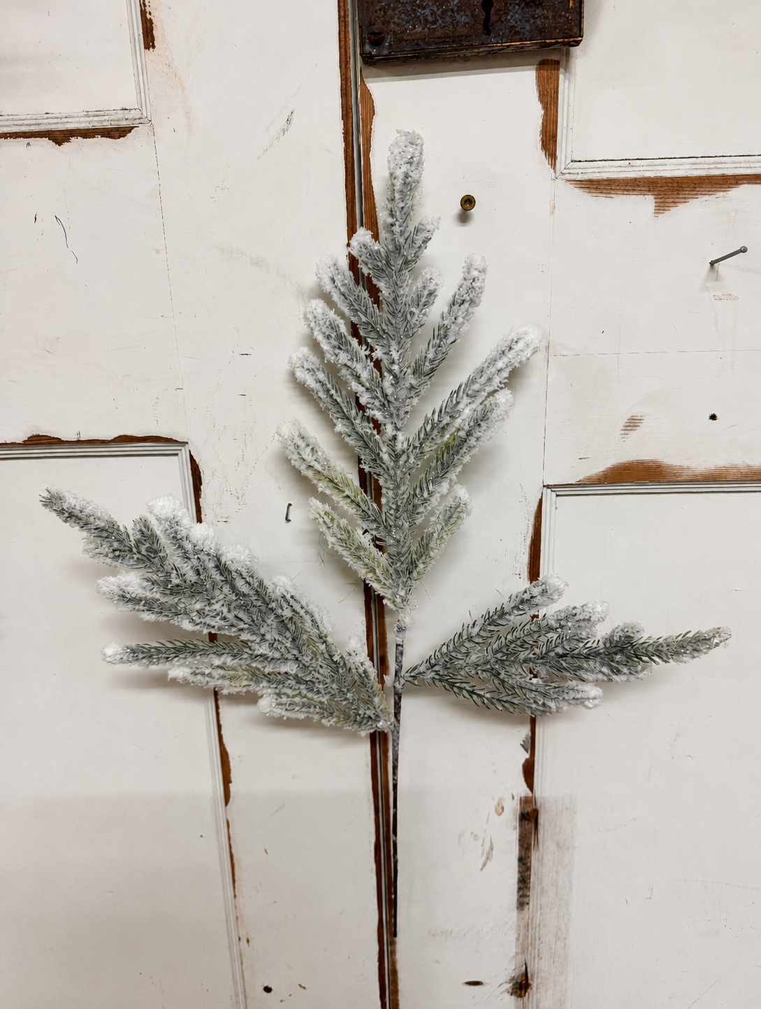 25 Inch Flocked Snow Glitter Norfolk Pine Spray