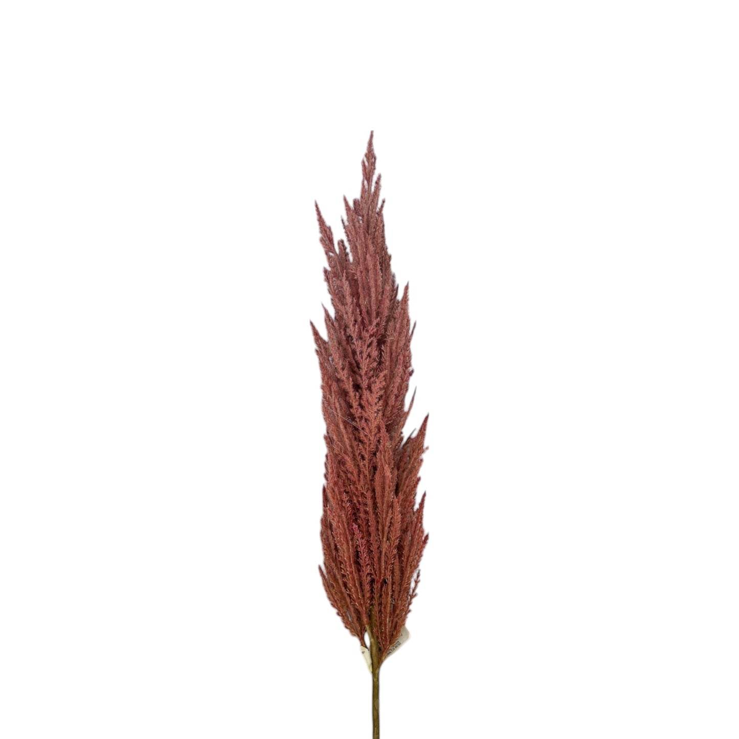84 Inch Rose Pampas Grass Spray