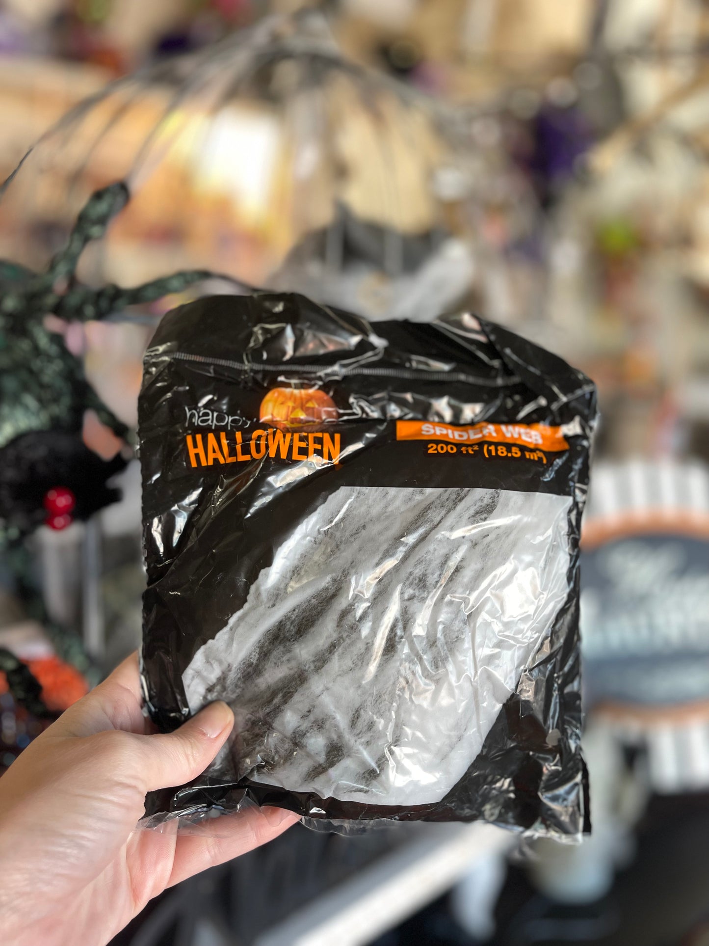 Halloween Spider Web