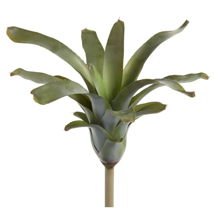16 Inch Green Gray Bromeliad Plant