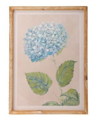16 By 22 Inch Hydrangea Framed Print