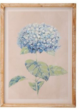 16 By 22 Inch Hydrangea Framed Print