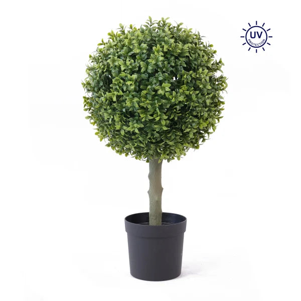 24 Inch Boxwood Topiary Tree