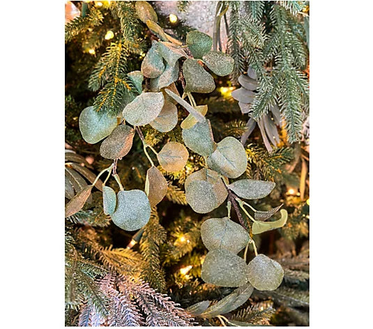 Simply Stunning Set of 5 25 Inch Eucalyptus Picks by Janine Graff