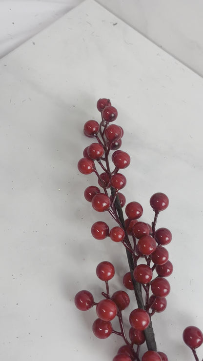 Red Shiny Goose Berry Pick