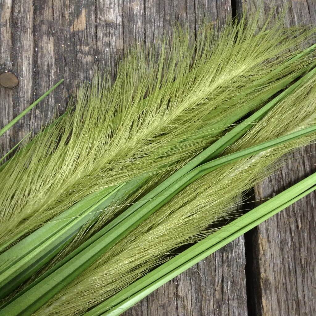 32" Onion Grass Spray 2 Colors