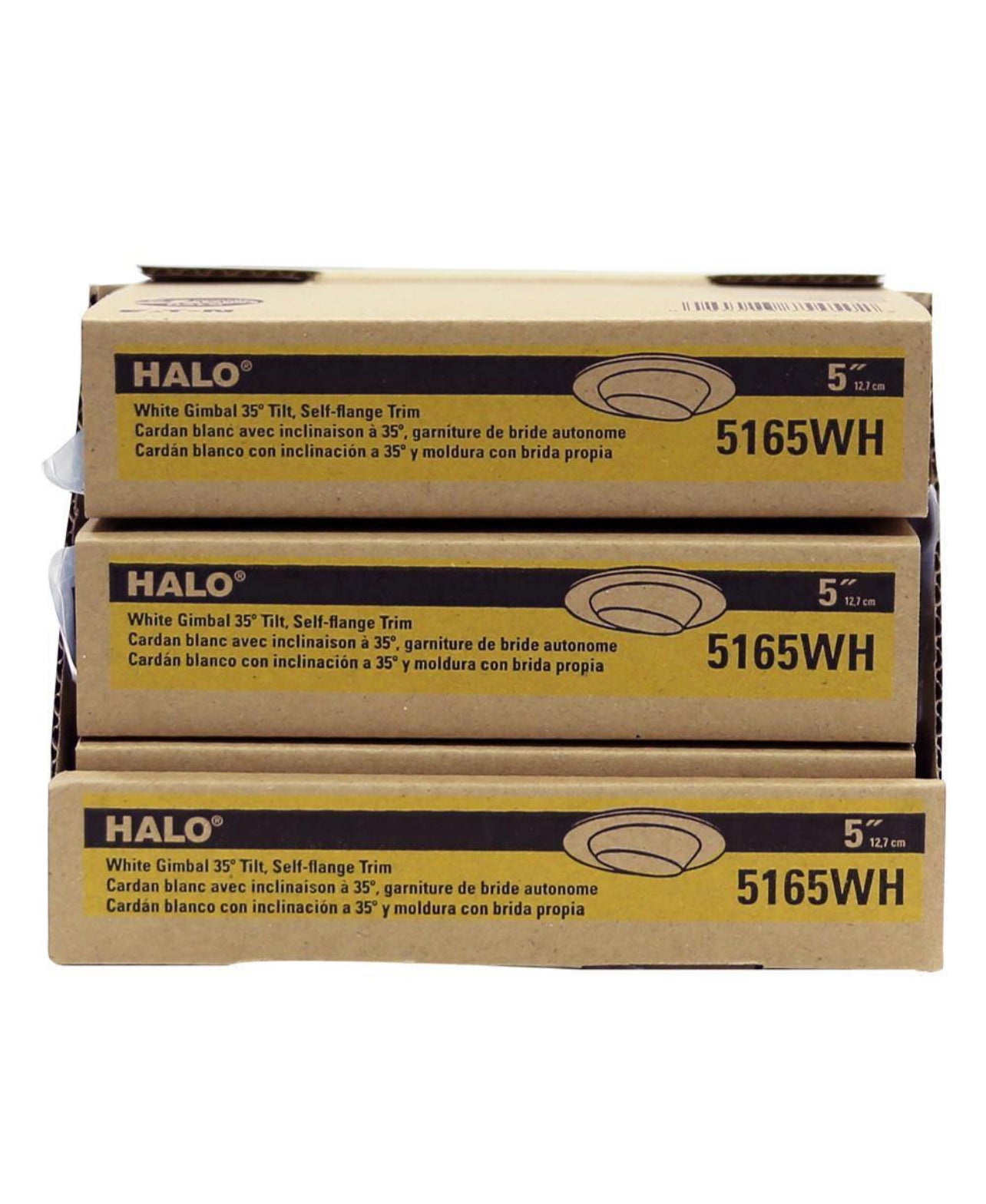 Halo E26 Series 5 in. White Recessed Ceiling Light Self Flanged Adjustable Gimbal with 25 Degree Tilt