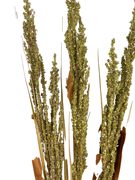 24 Inch Barnyard Grass Spray Green