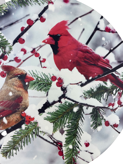 12 Inch Cardinals On Snowy Branch Metal Round Sign
