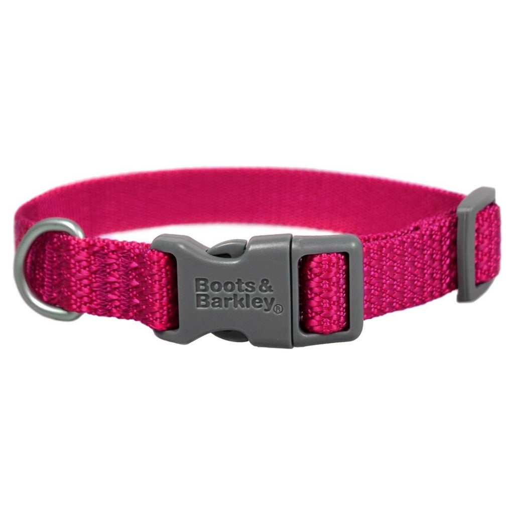Comfort Dog Collar by Boots and Barkley