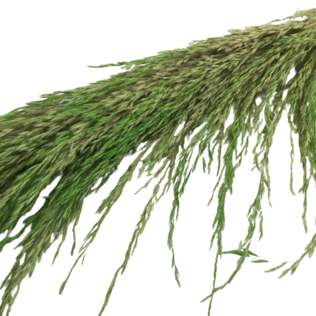 43 Inch Green Pampas Branch