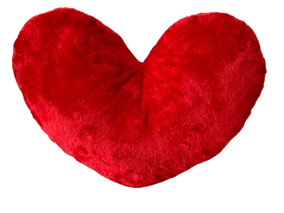 Red Heart Decorative Pillow