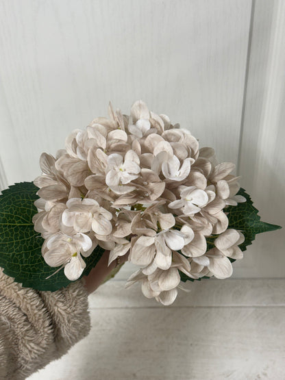 18 Inch Beige Hydrangea Stem