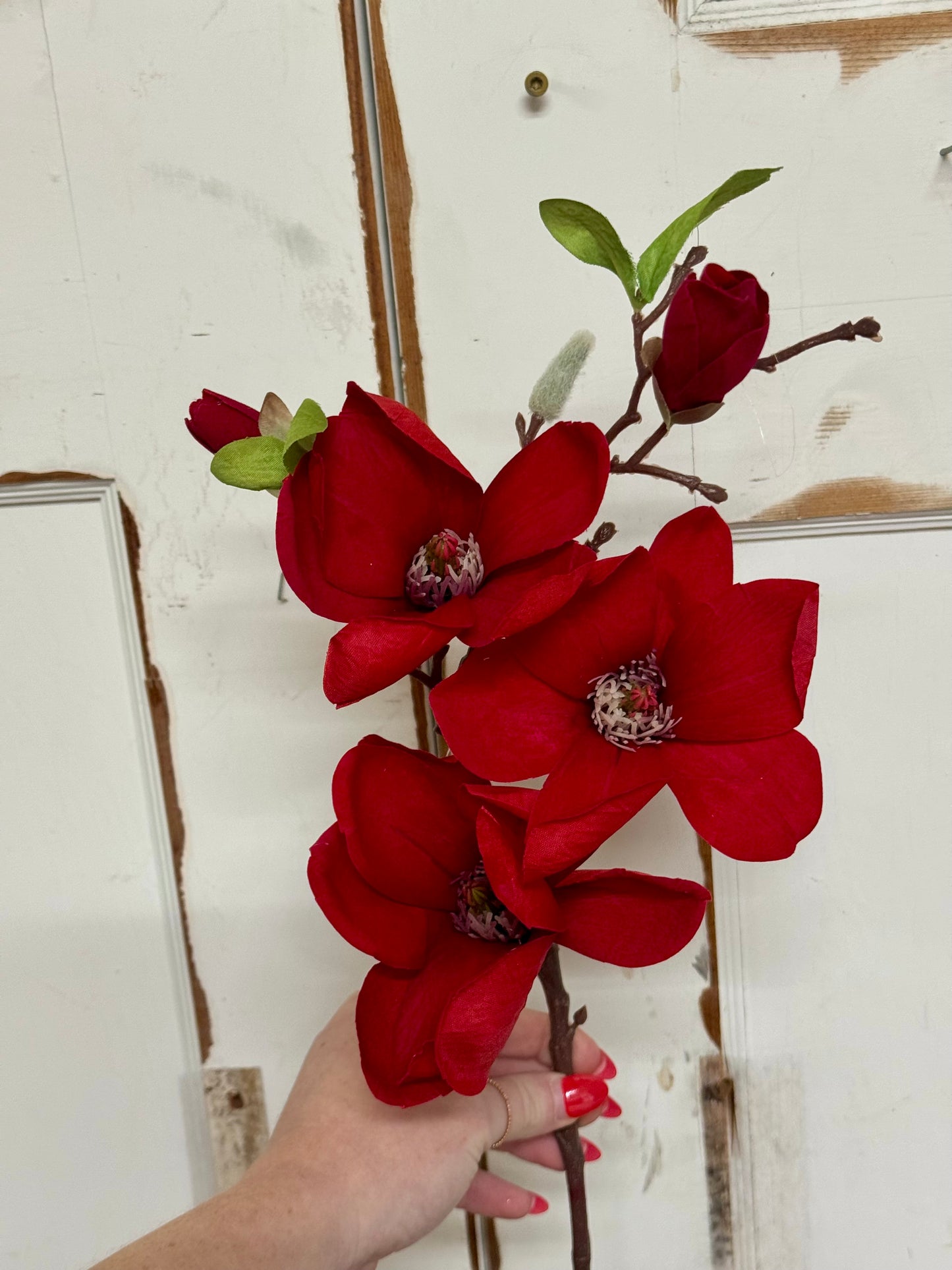 24 Inch Red Magnolia Velvet Spray