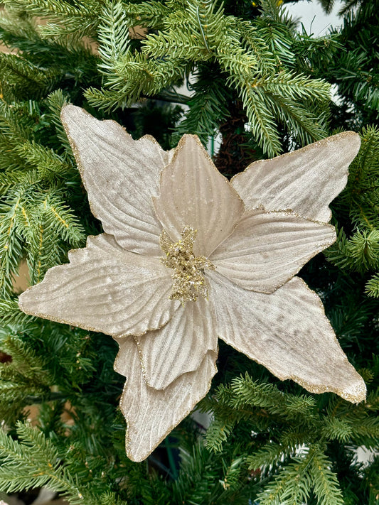 15.5 Inch Champagne Textured Poinsettia Stem